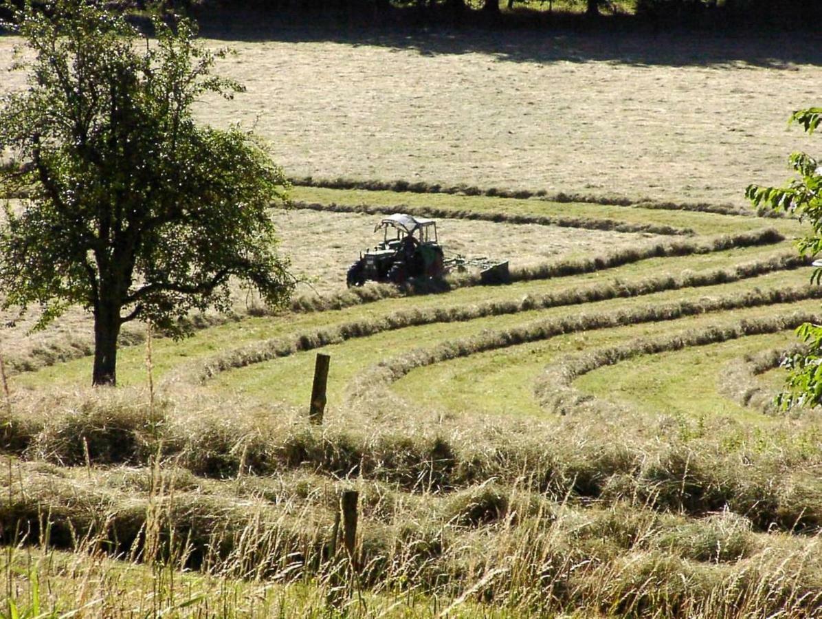 Abendrot Appartement Ober-Hambach Exteriör bild